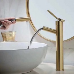 Vytáhnúť Spray Brushed Gold...
